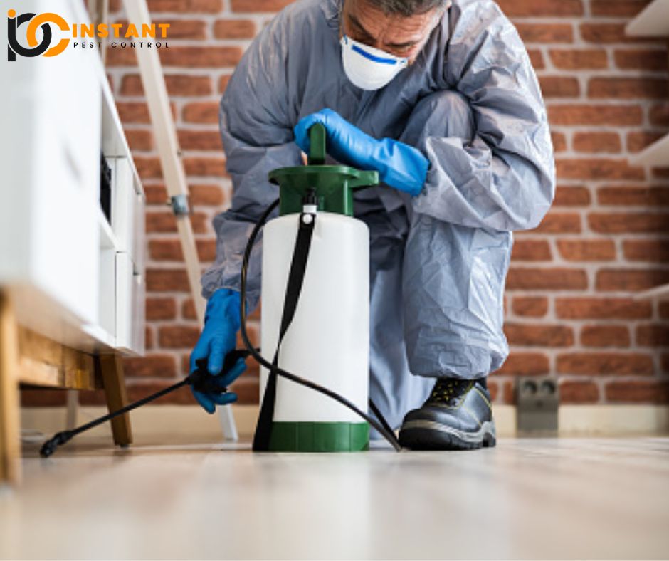 Pest Control Dubai Service for Commercial Residential and Industrial Properties